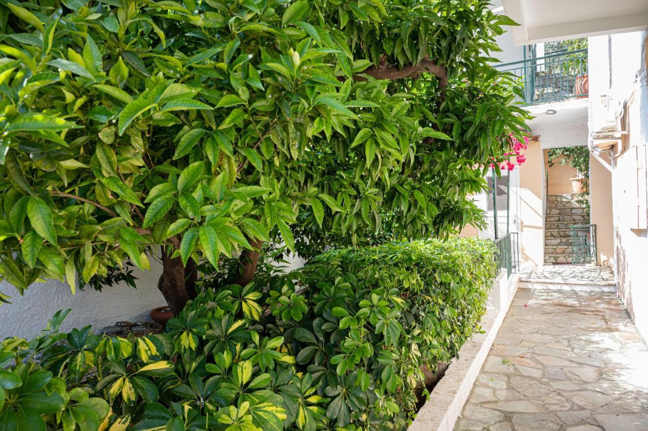 Villa Sofia Sea View Poros Town Buitenkant foto